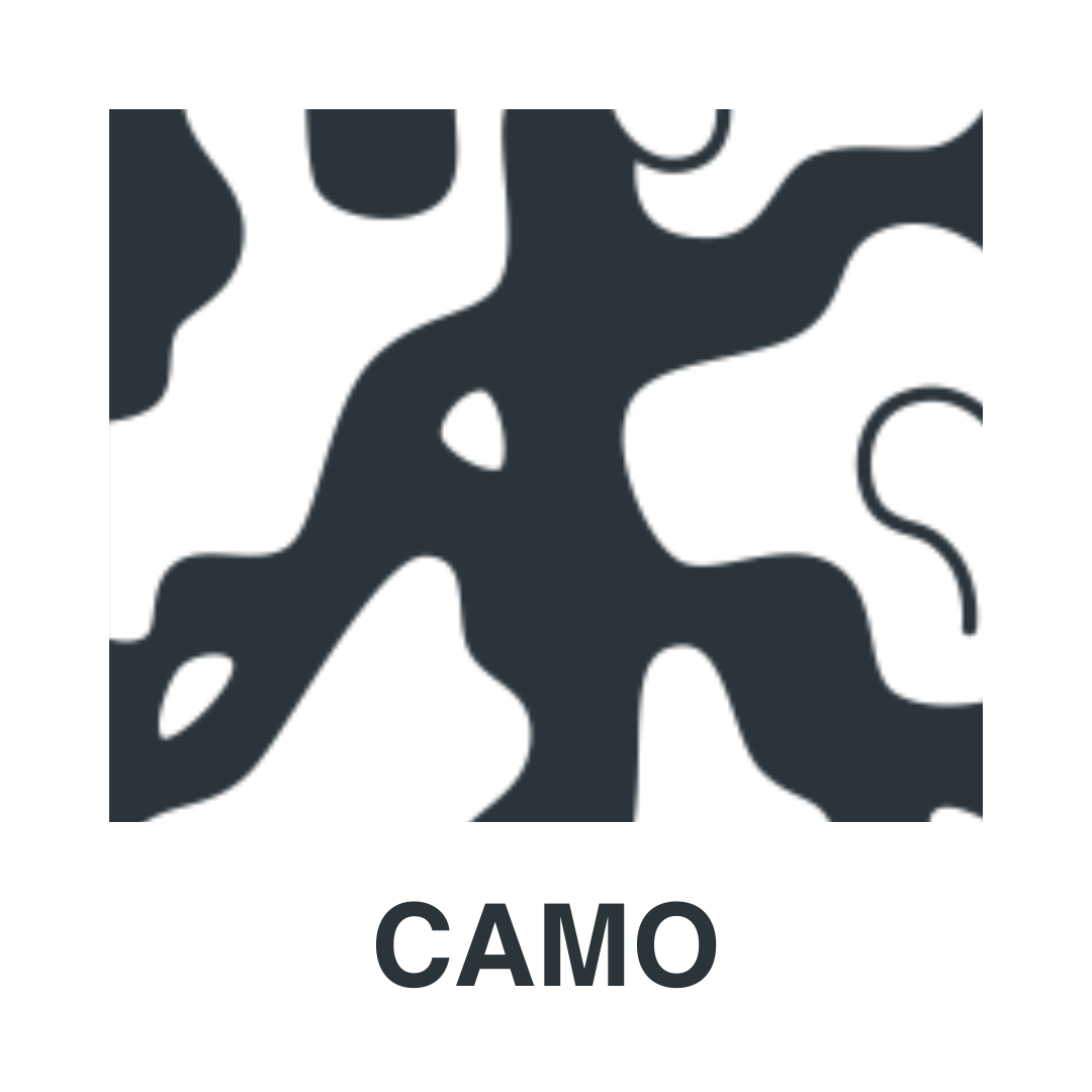 Camo (1)