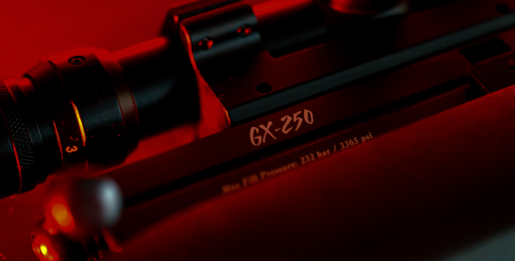 Gamo GX-250 Review 1