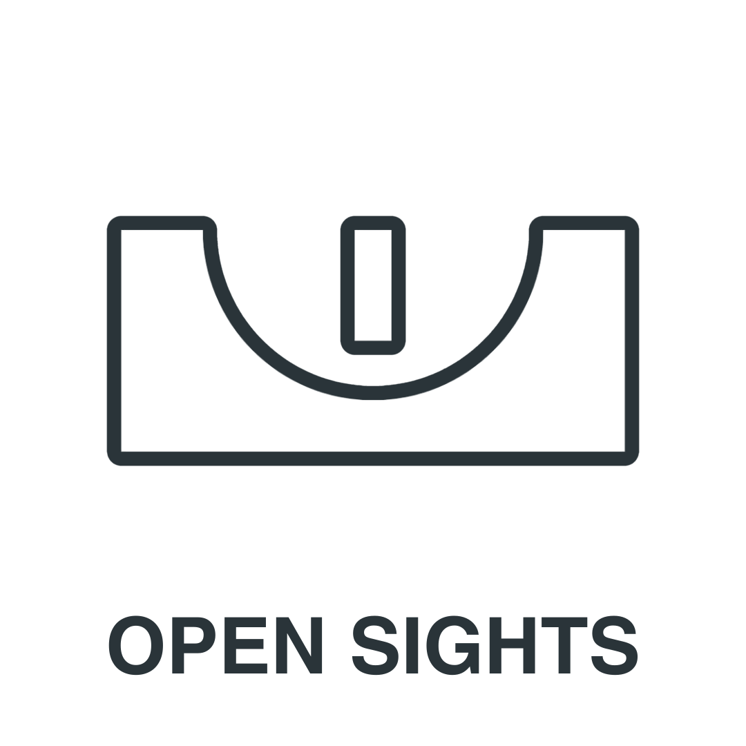 Open Sights (1)