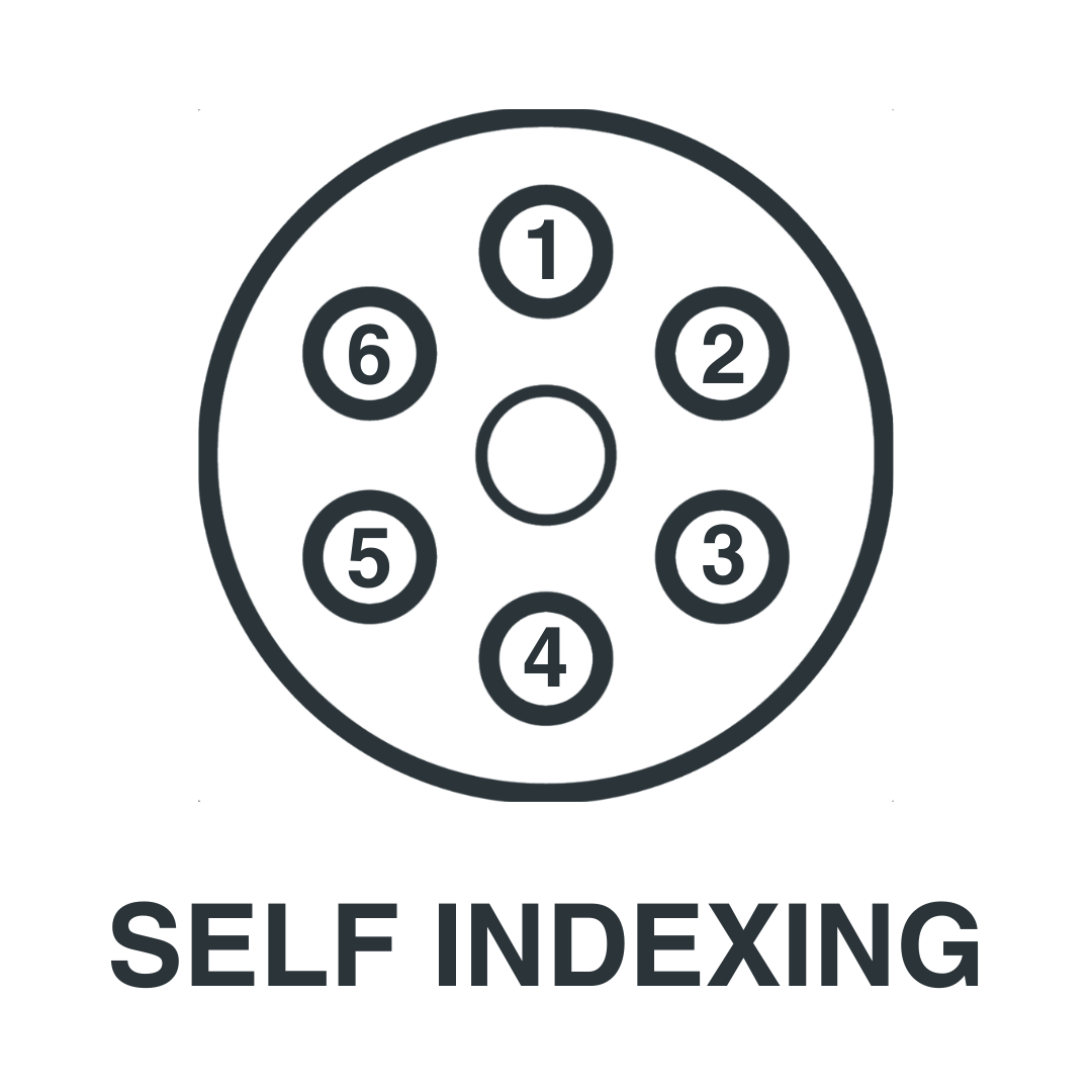 Self Indexing (1)