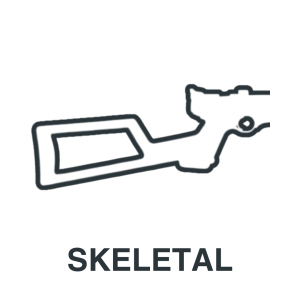 A simple black outline of a skeletal rifle stock is shown above the word "SKELETAL" in bold capital letters.