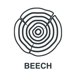 Black line drawing of a beech tree cross-section with visible growth rings and the word "BEECH" written below it in bold capital letters.